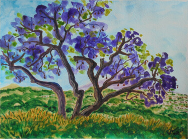 Jacaranda