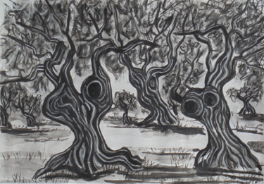 Olive Trees